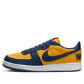 Nike Terminator Low 'Michigan' FJ4206-700