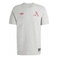 adidas Arsenal VRCT T-Shirt Asia Sizing 'Grey' JL6111