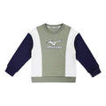 (GS) Mizuno Casual Sweater 'Green' 32CA3905